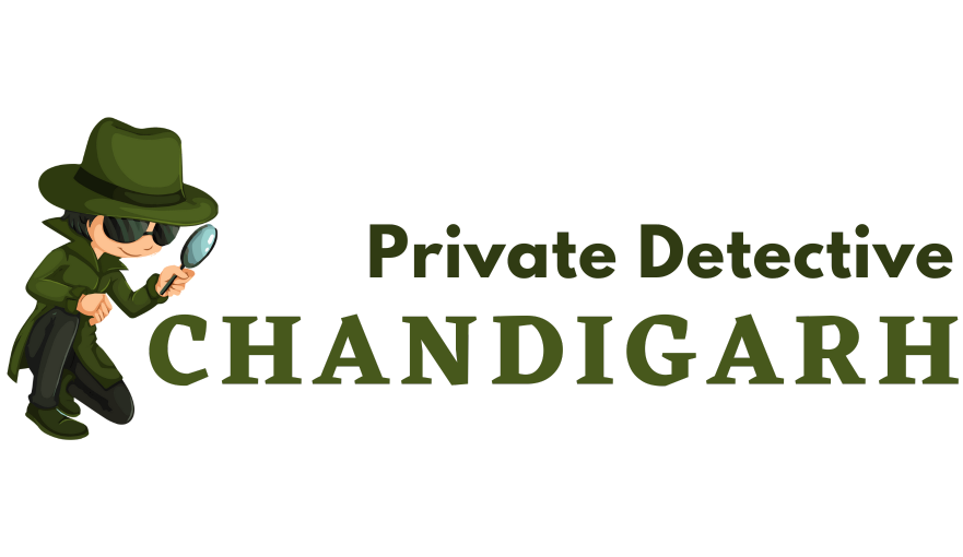 private detective chandigarh Logo